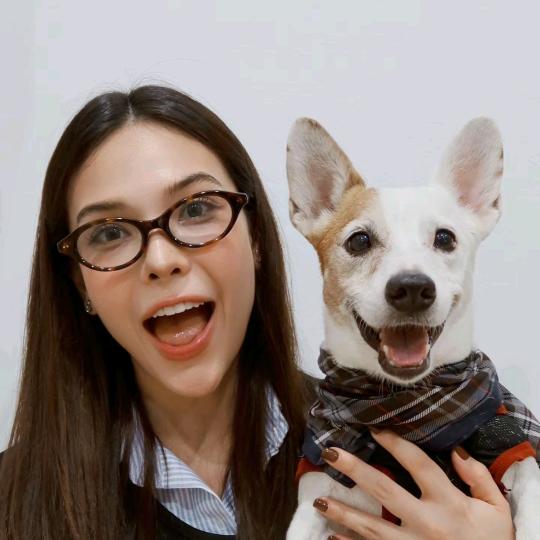 xiu狗团:)