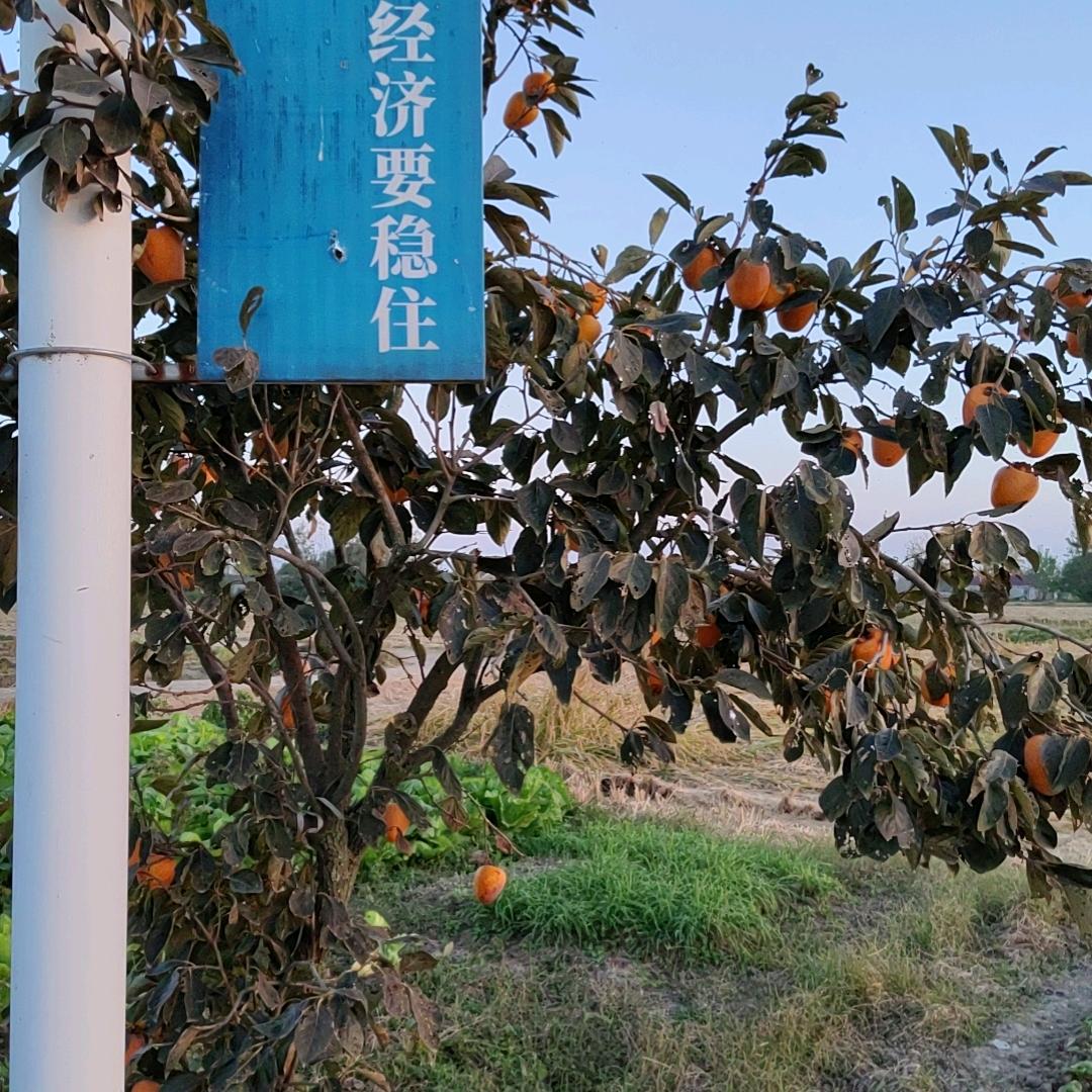 一切随缘