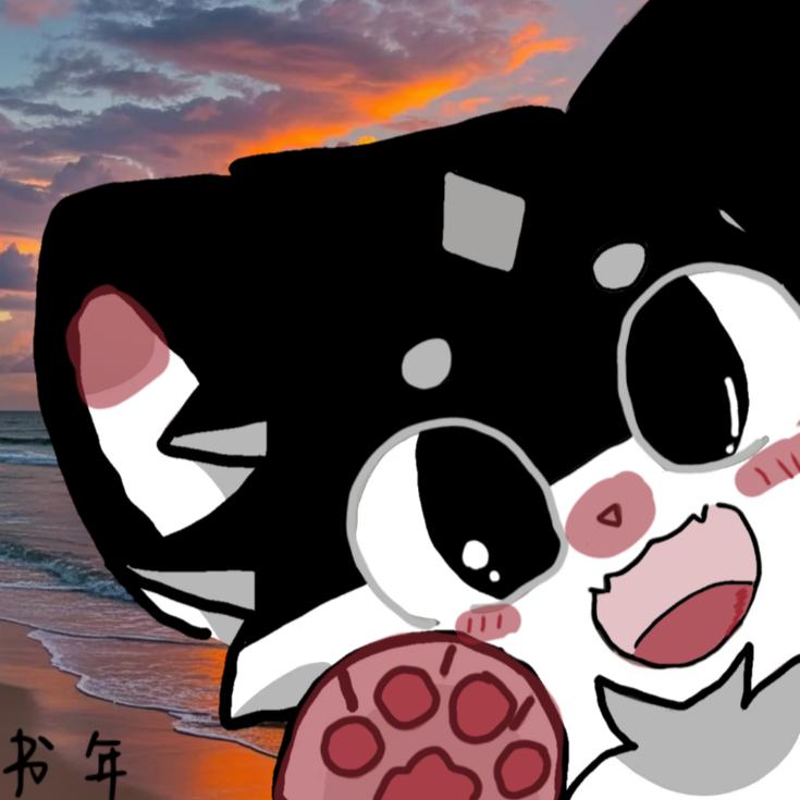 书年