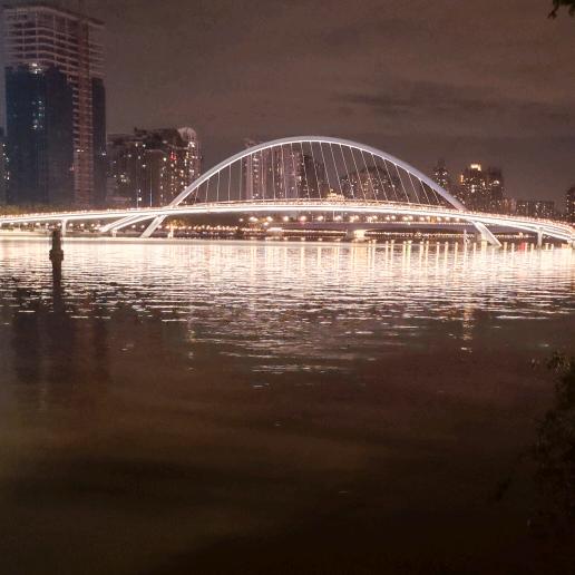 轻松拿下大鲸鱼