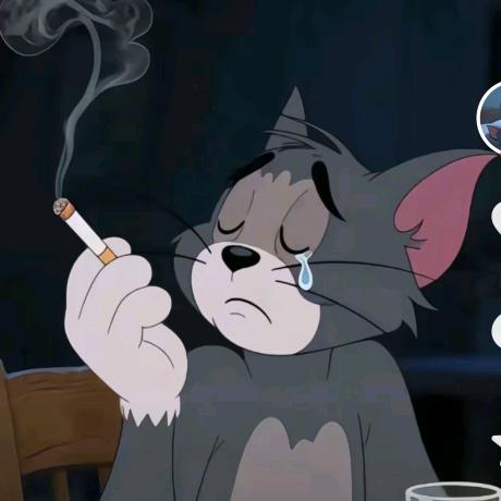 巷子里的🐈