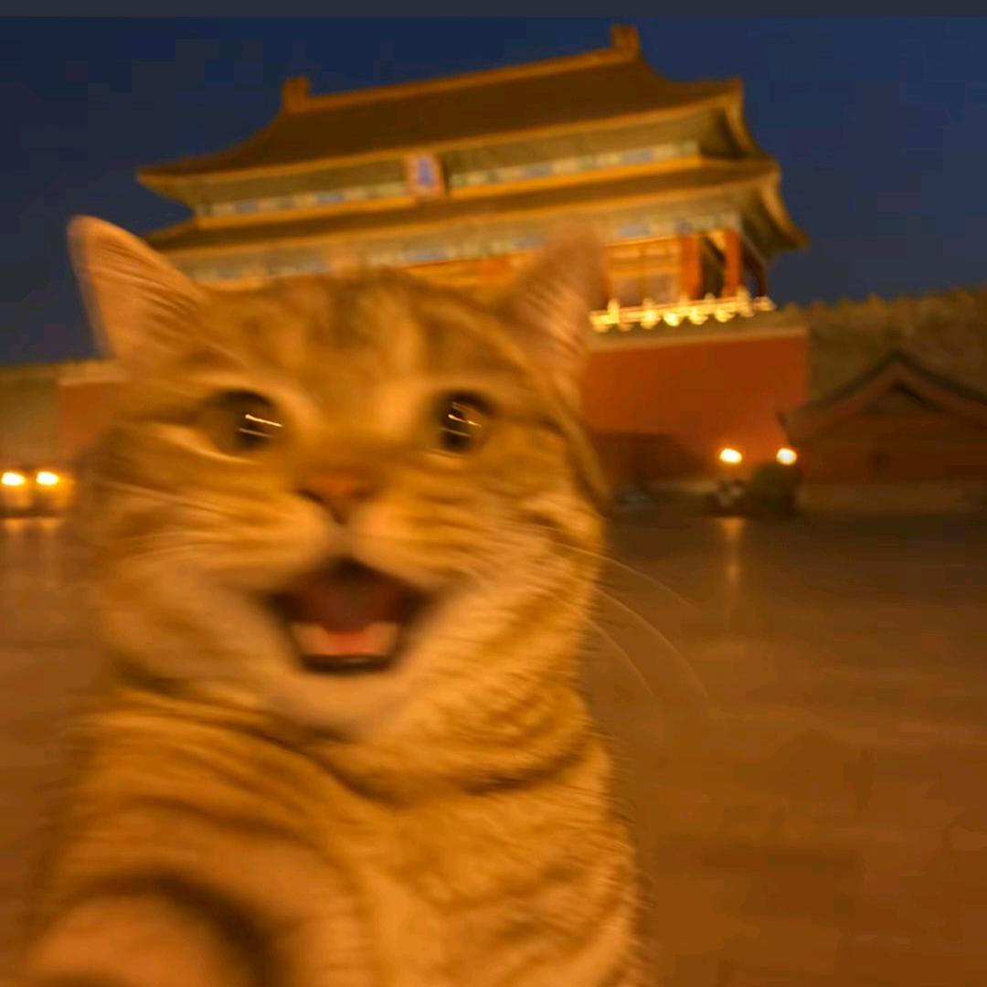 雾岛湾