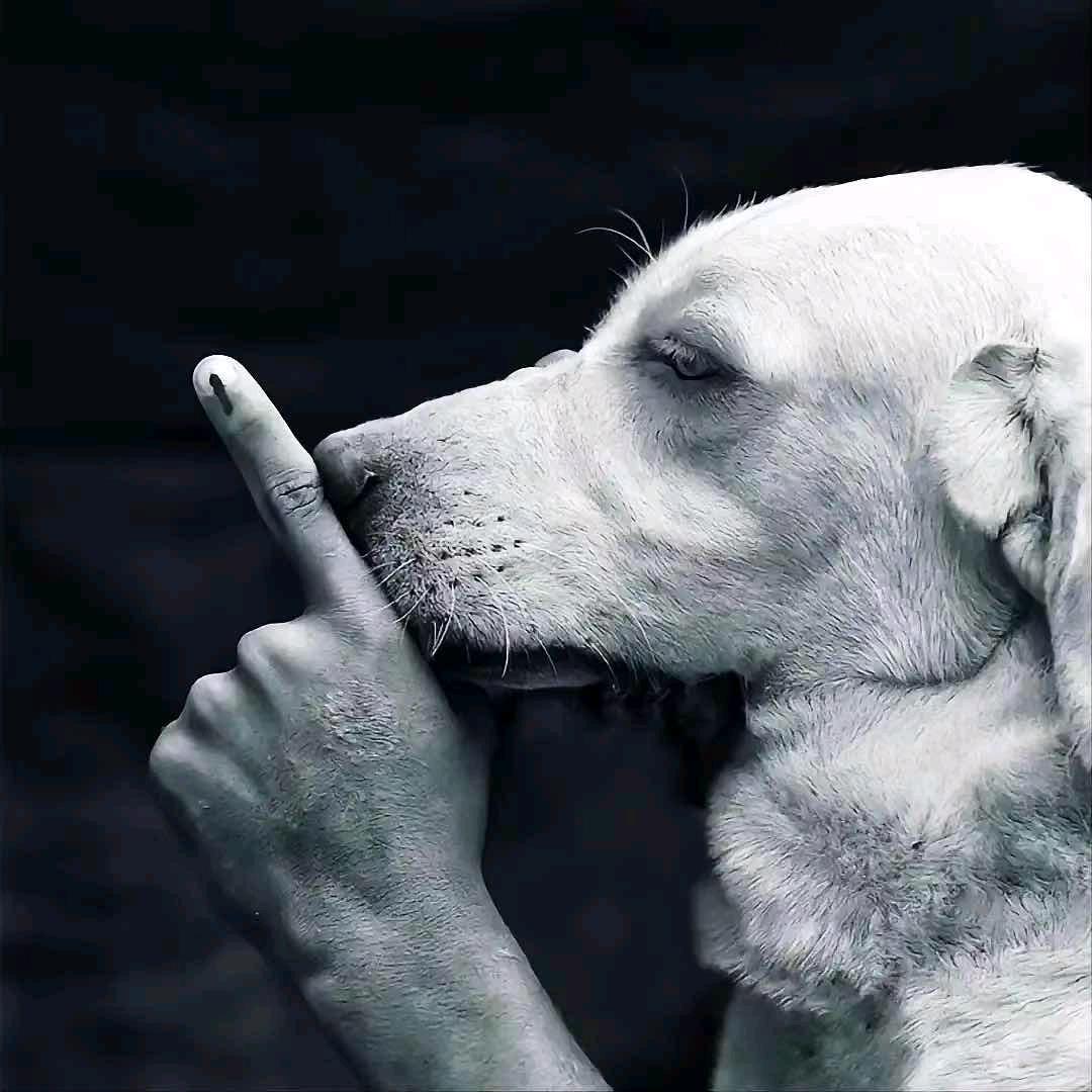 别吃别吃