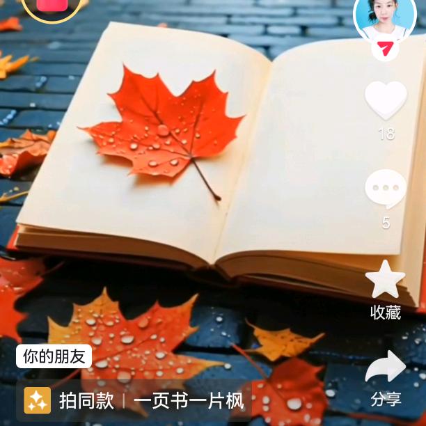 秋叶