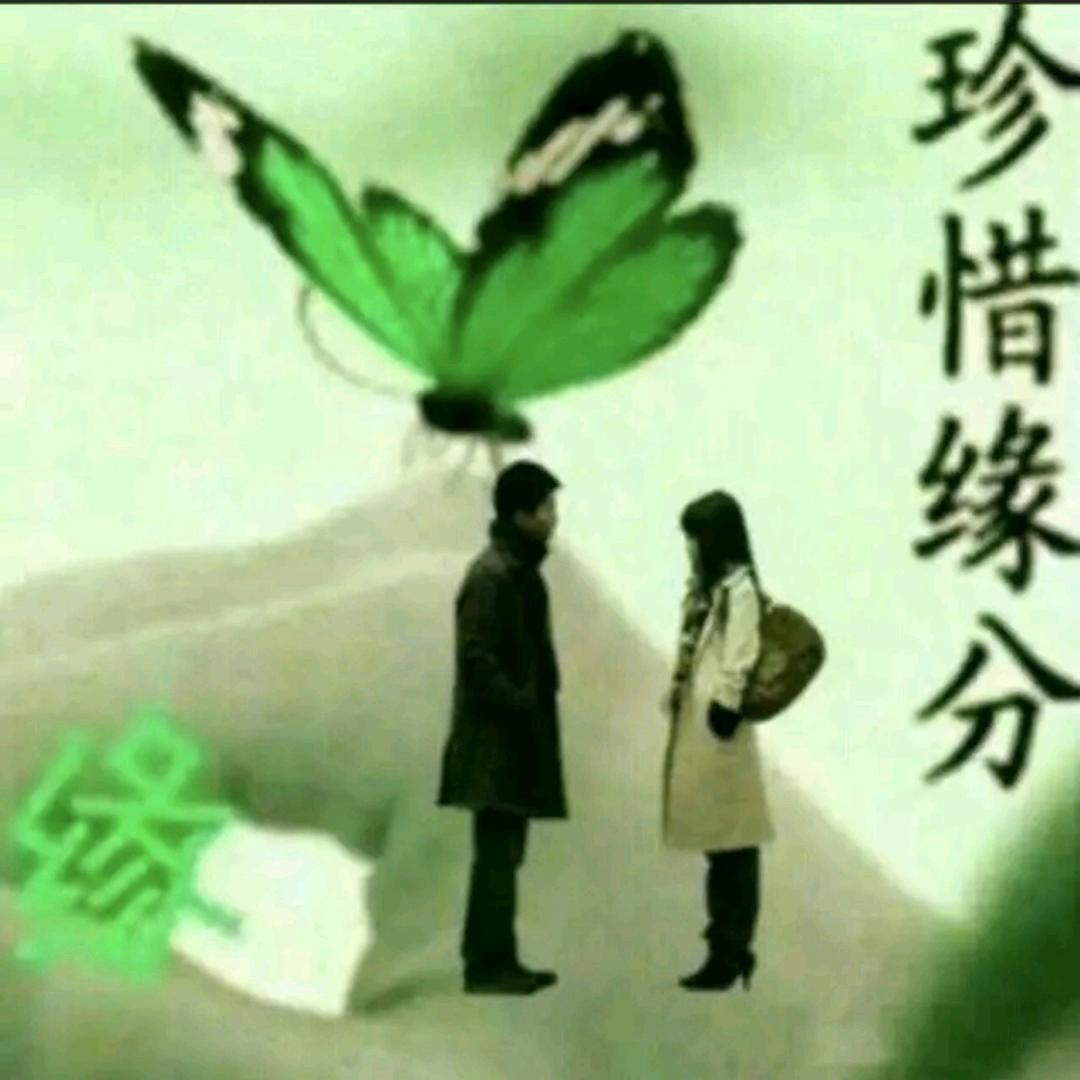 依依