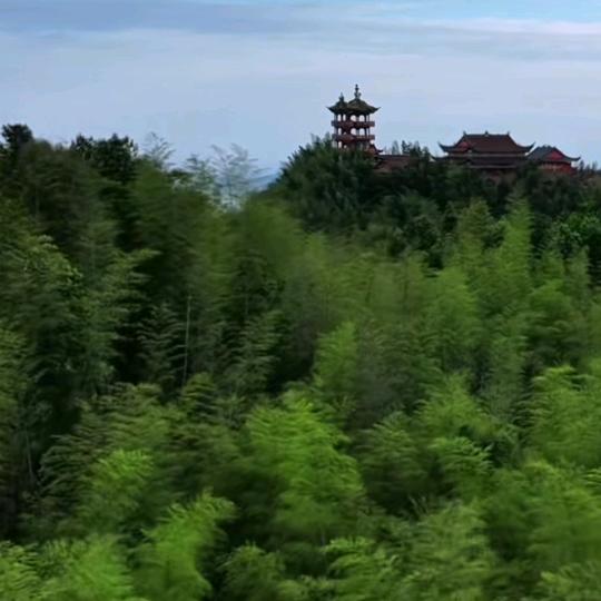鲜