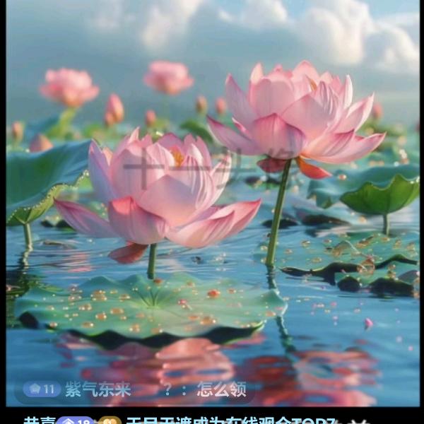 善缘