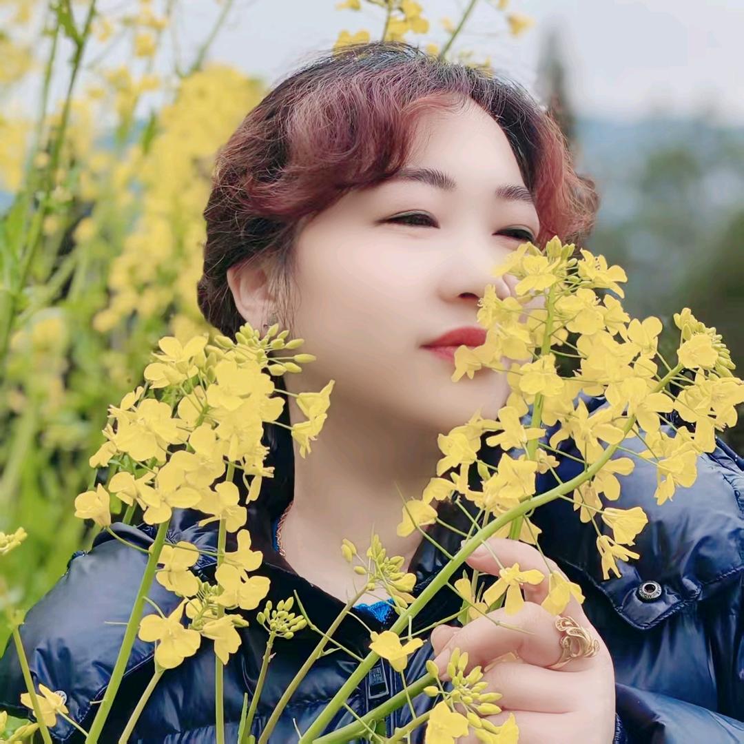 人淡如菊