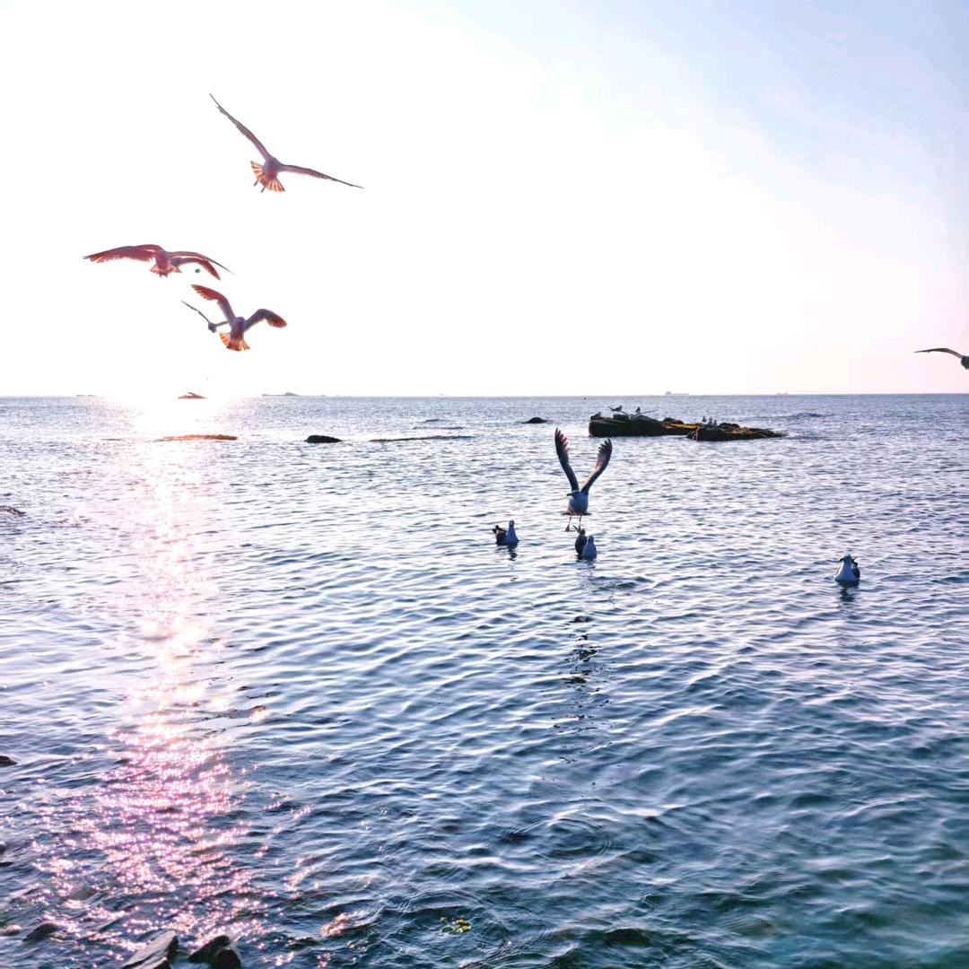 带娃开车逛济宁