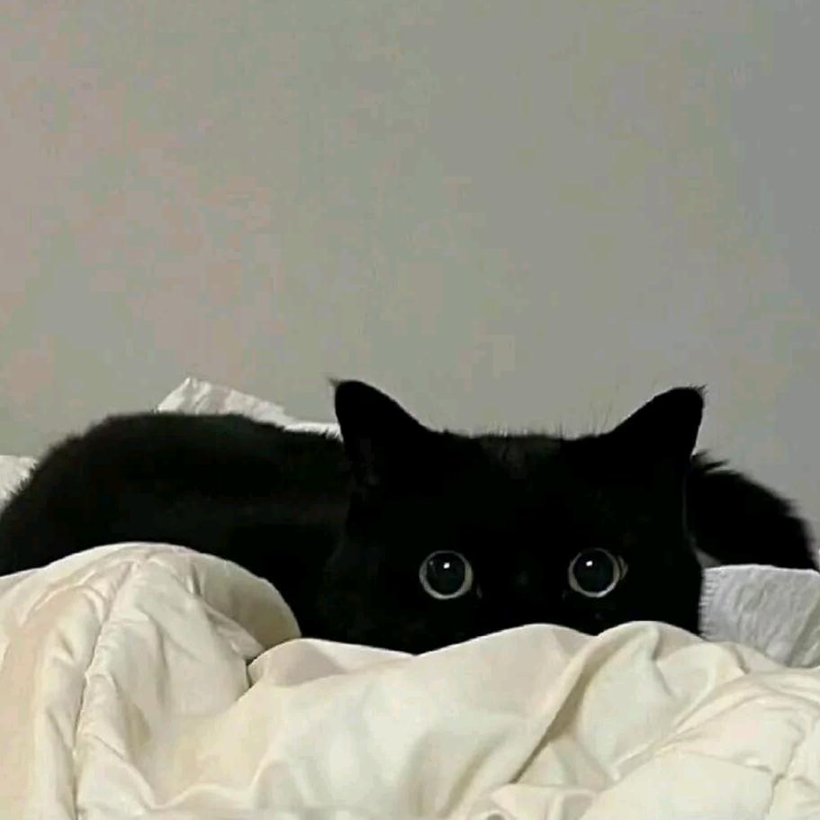 Ll