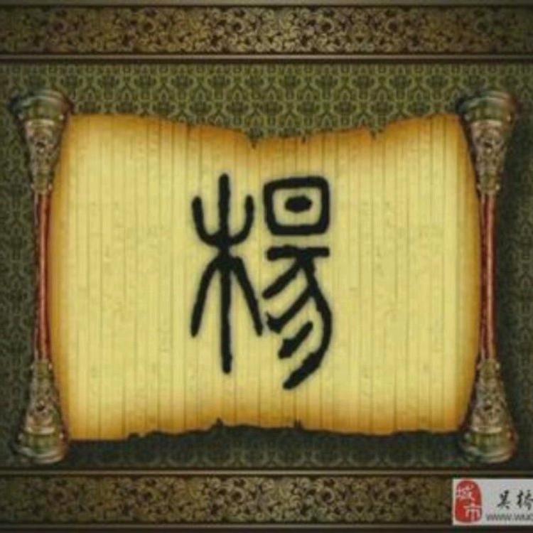 杨大叔