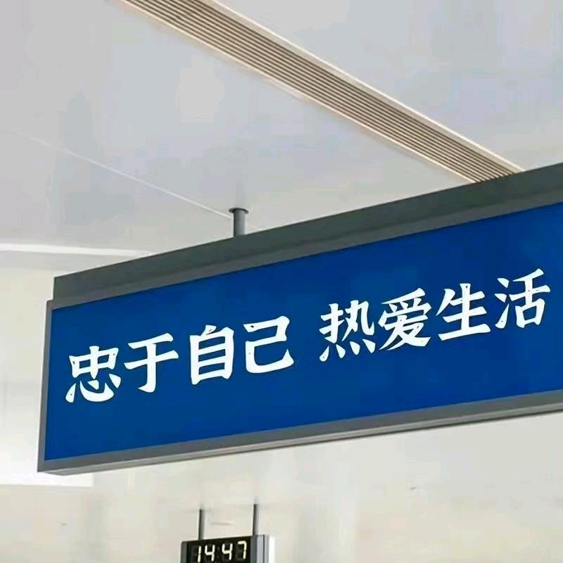 Z.YI
