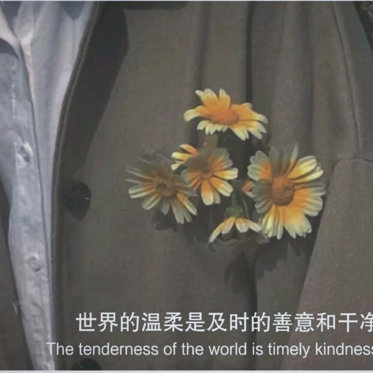 苟全性命于乱世