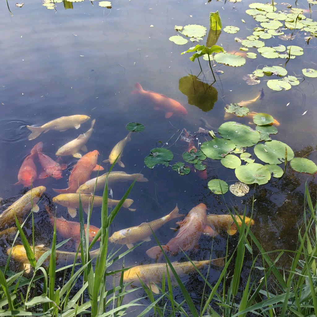 常熟盛辉高端系统门窗简