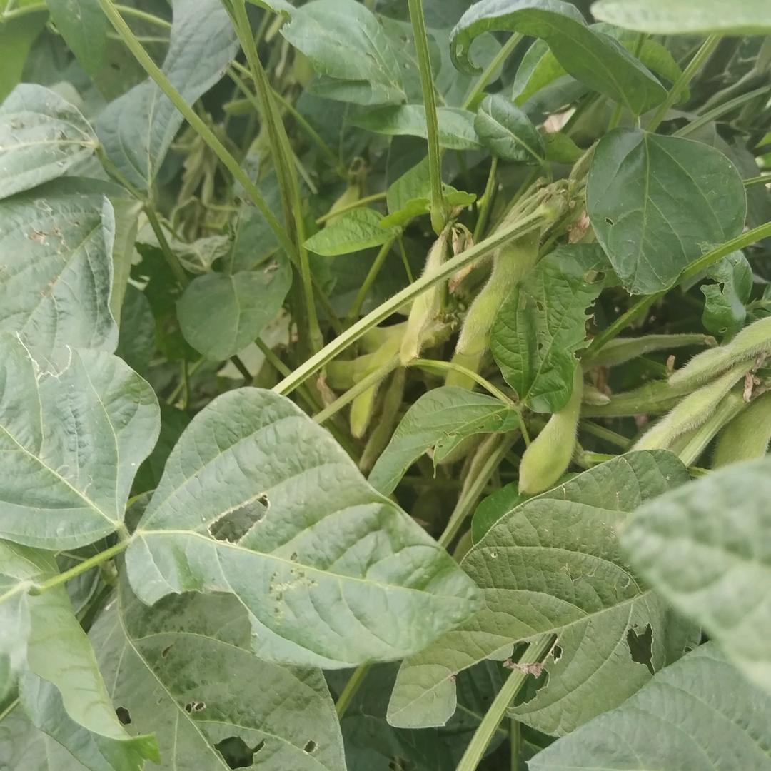 ૮₍ɵ̷﹏ɵ̷̥̥᷅₎ა