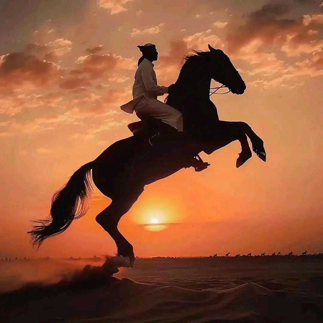 🐎👍🈶💴
