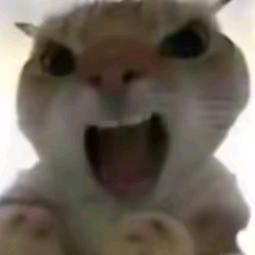 如山间清爽的风