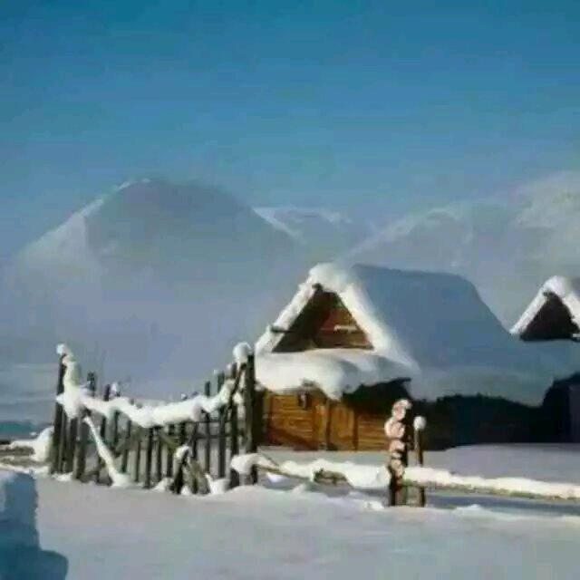 冬天的雪景