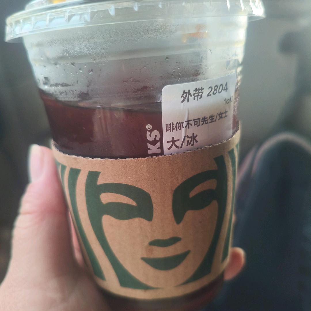 受宠的小猫咪