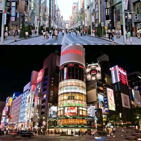 逐光