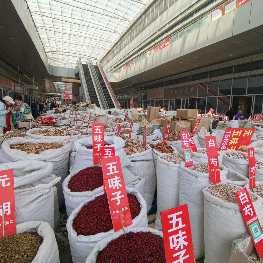 亳州友一本草