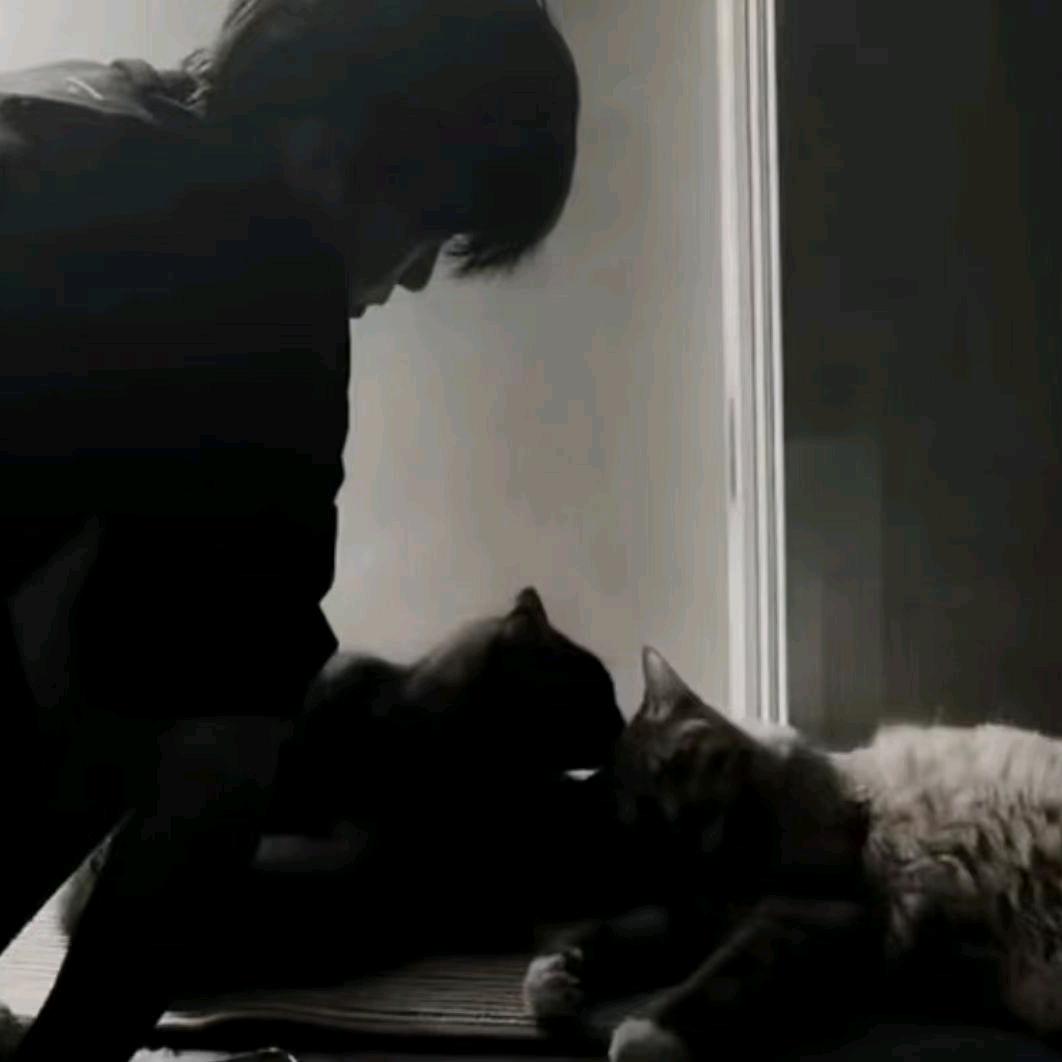 冬