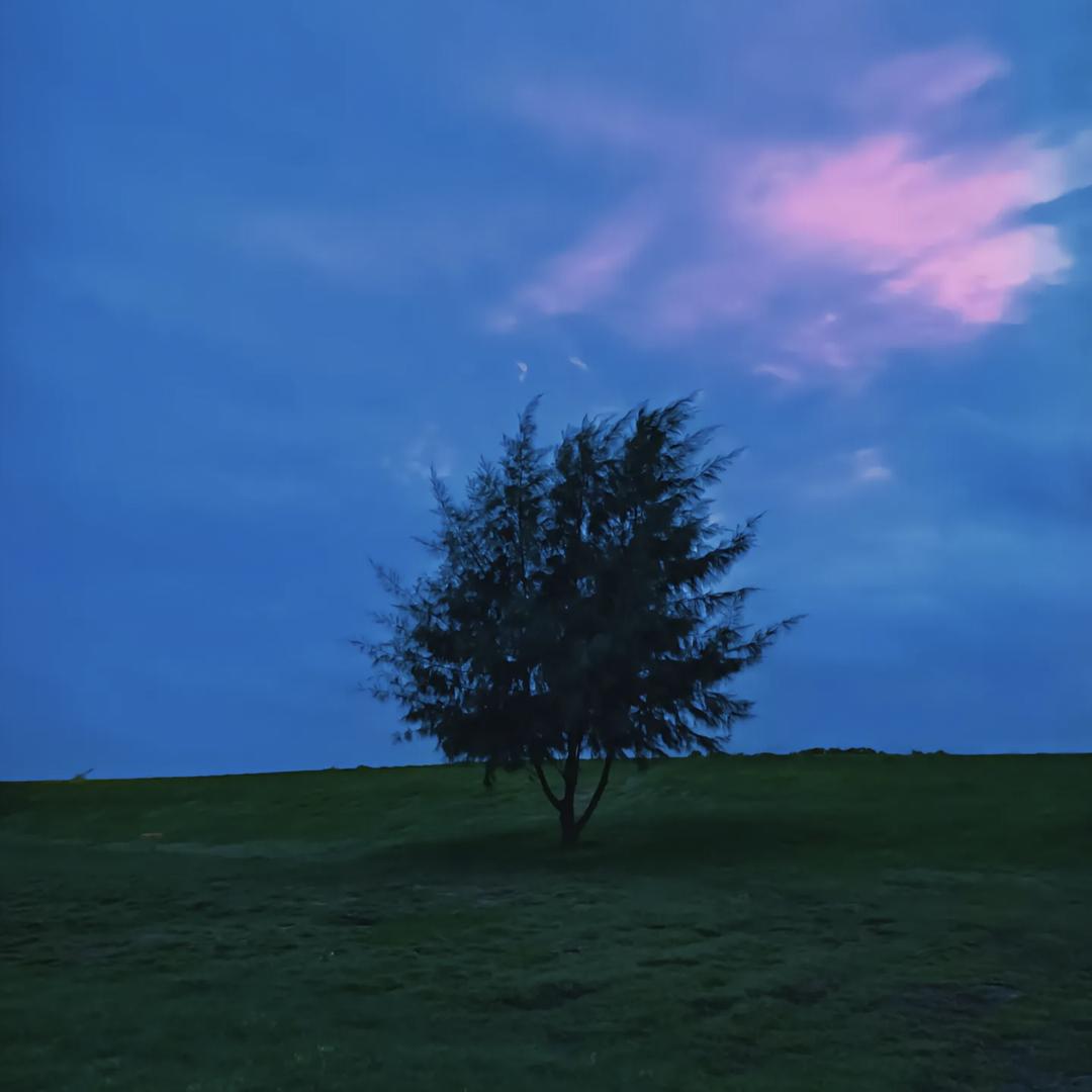 池翎