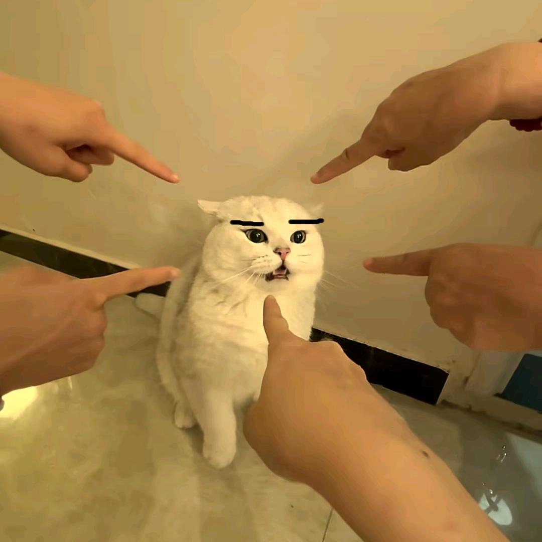 乐意李