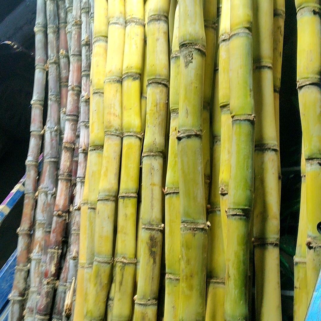 开心每一天，哥哥