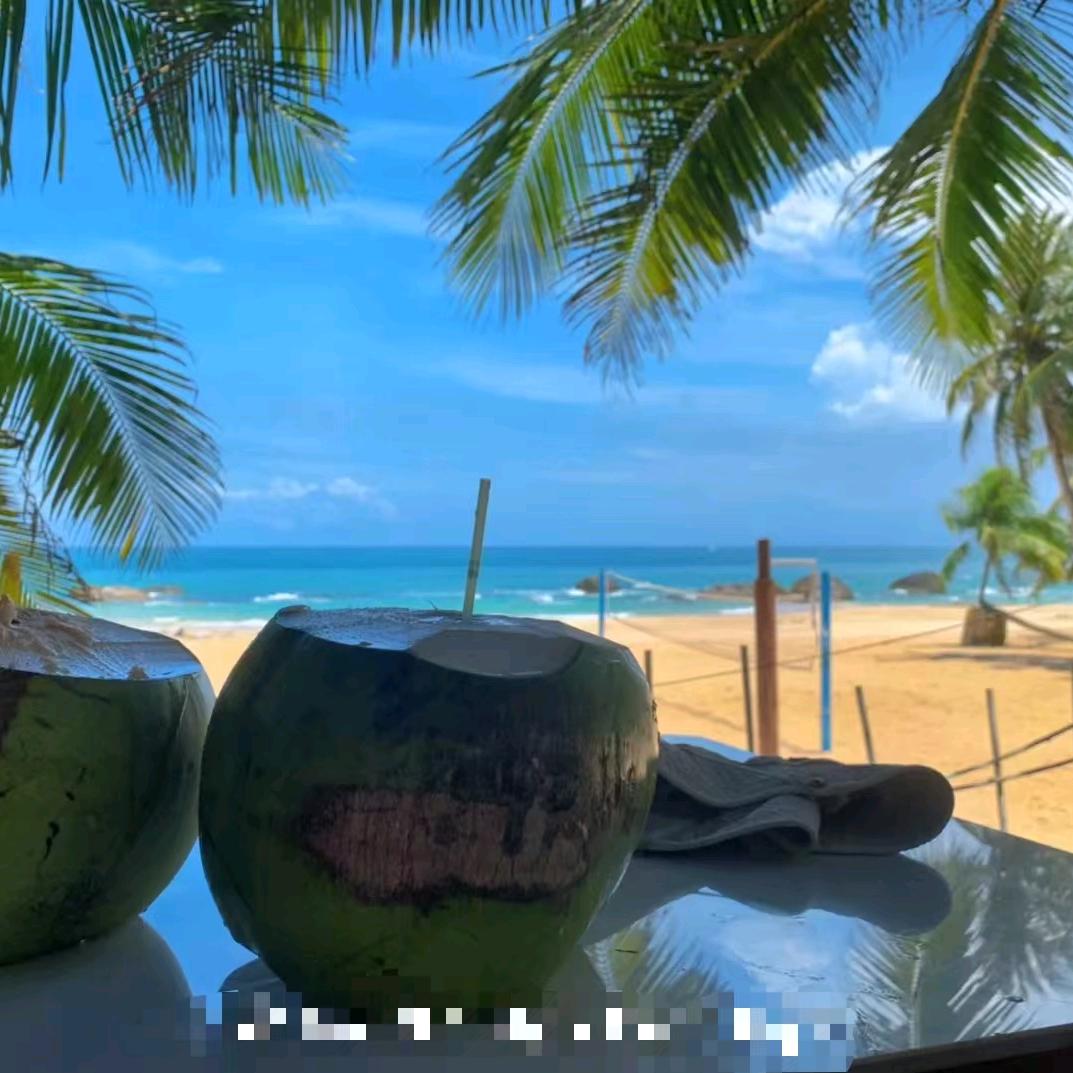 海南椰子油专场