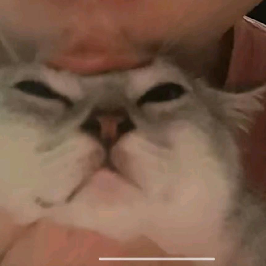 欧琼予