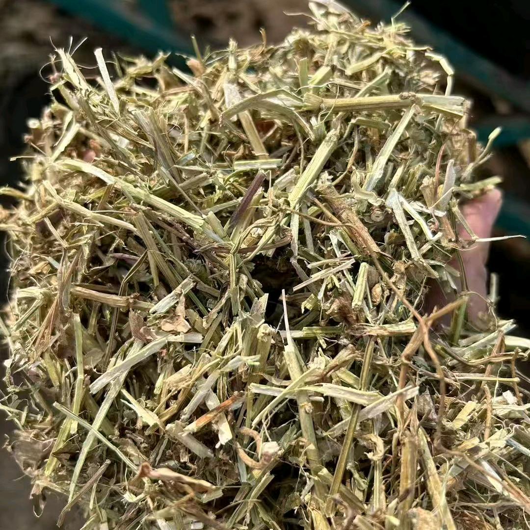 攀枝花布德批发草业 《小鱼儿》