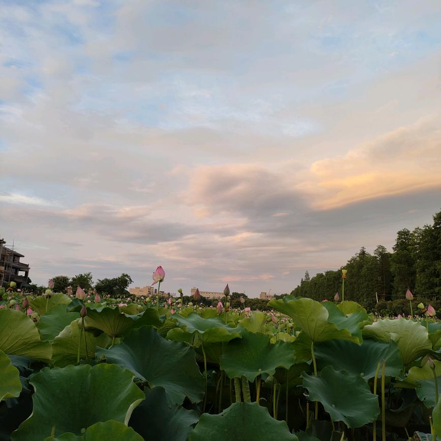 ღ᭄💞辛家菇娘໑ຼ💞