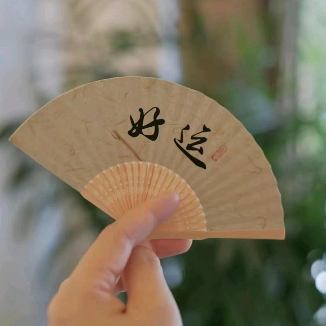 自由飞翔