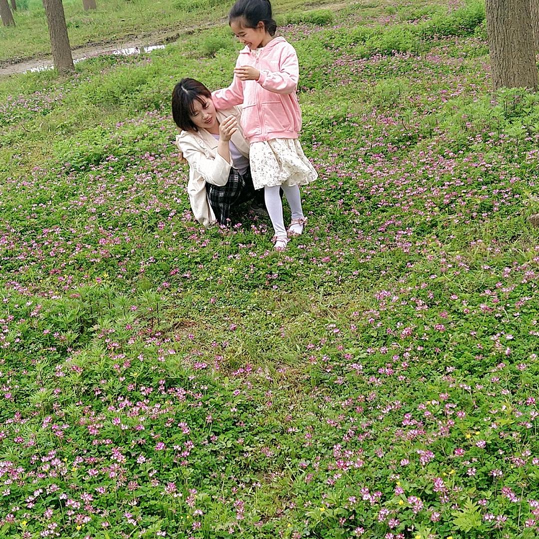 @金银花