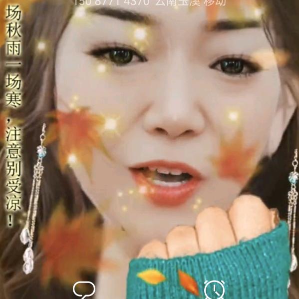 情舞飞杨