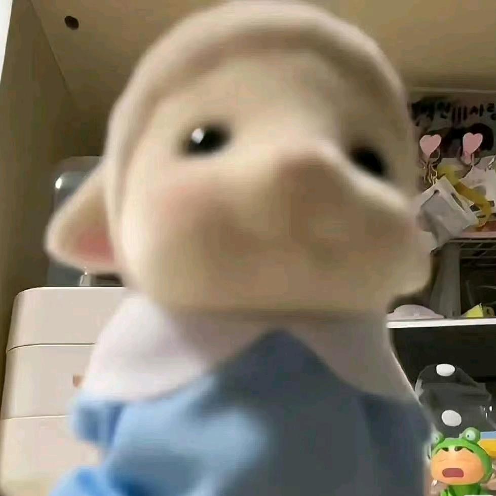 小方不芳