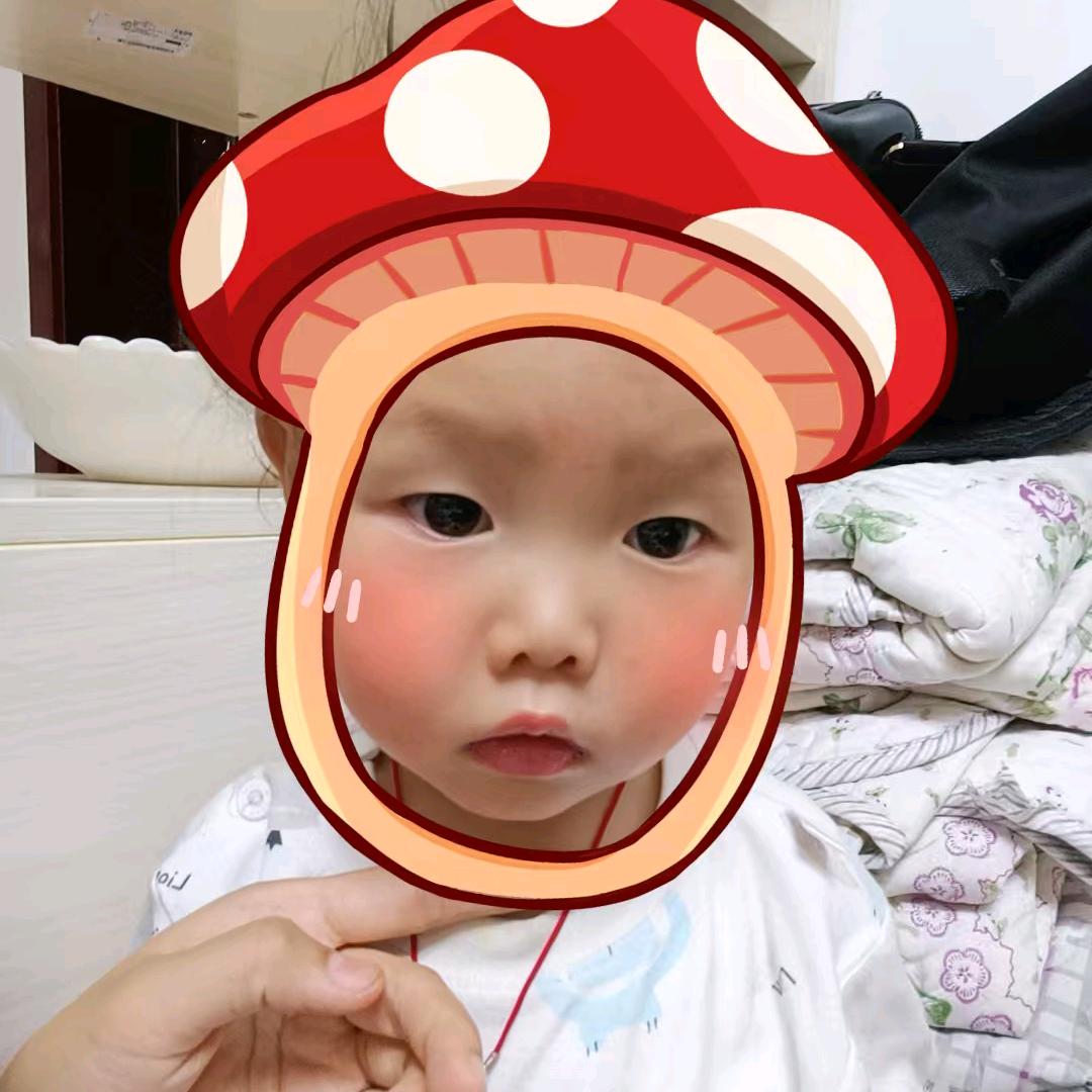 三七妈妈🍀
