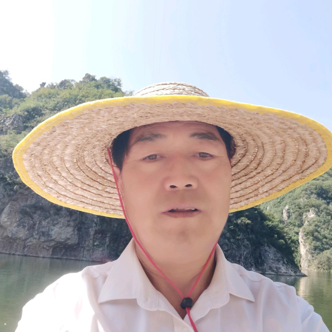 东北老汉晚上7点20直播