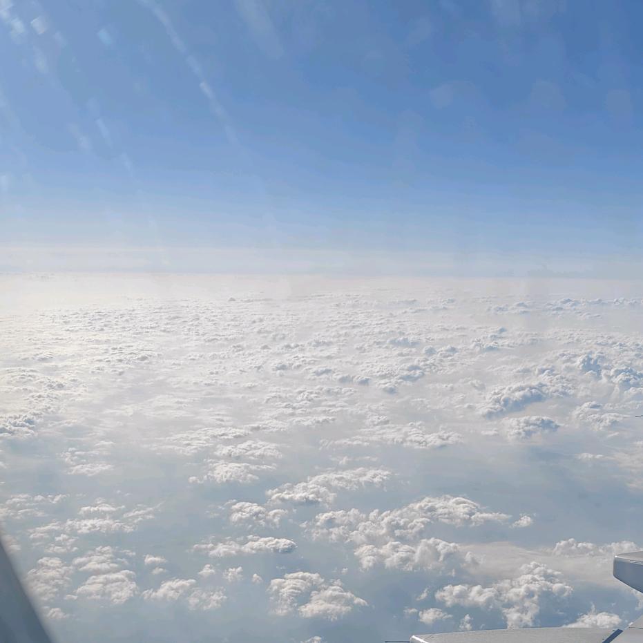 @ღ随❤就好 ོྂཾ࿐