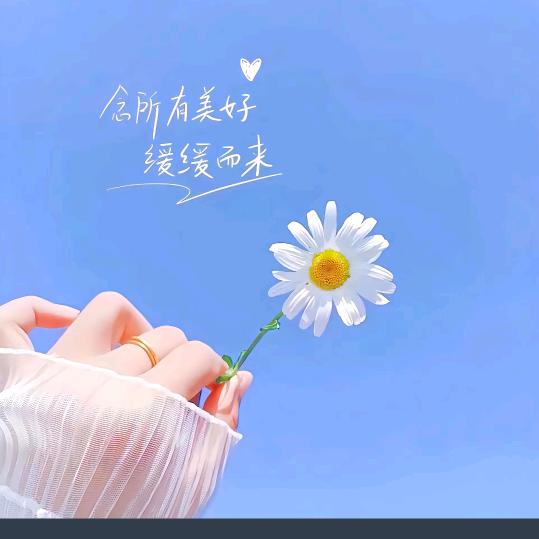 花开蝶会来