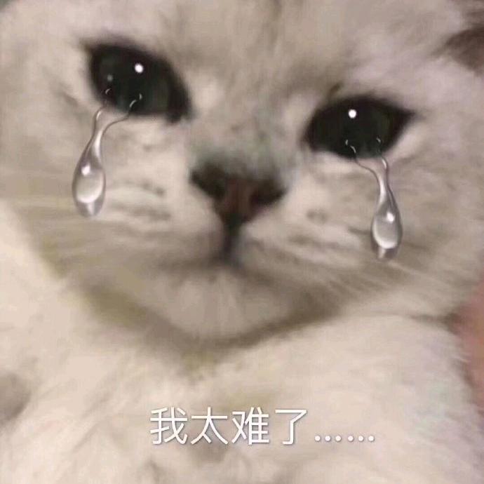 小⑉°з°肥-♡杨