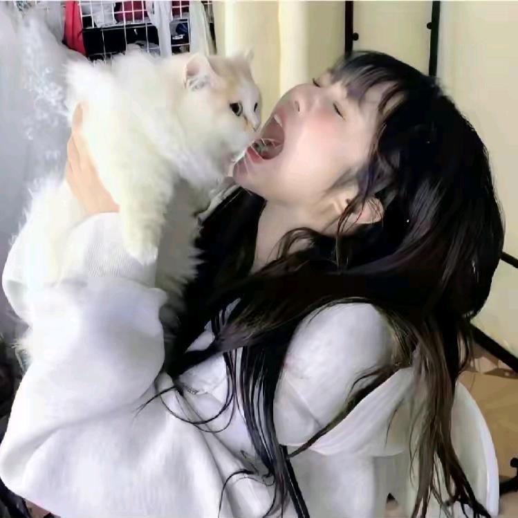 小俊困困猫_k