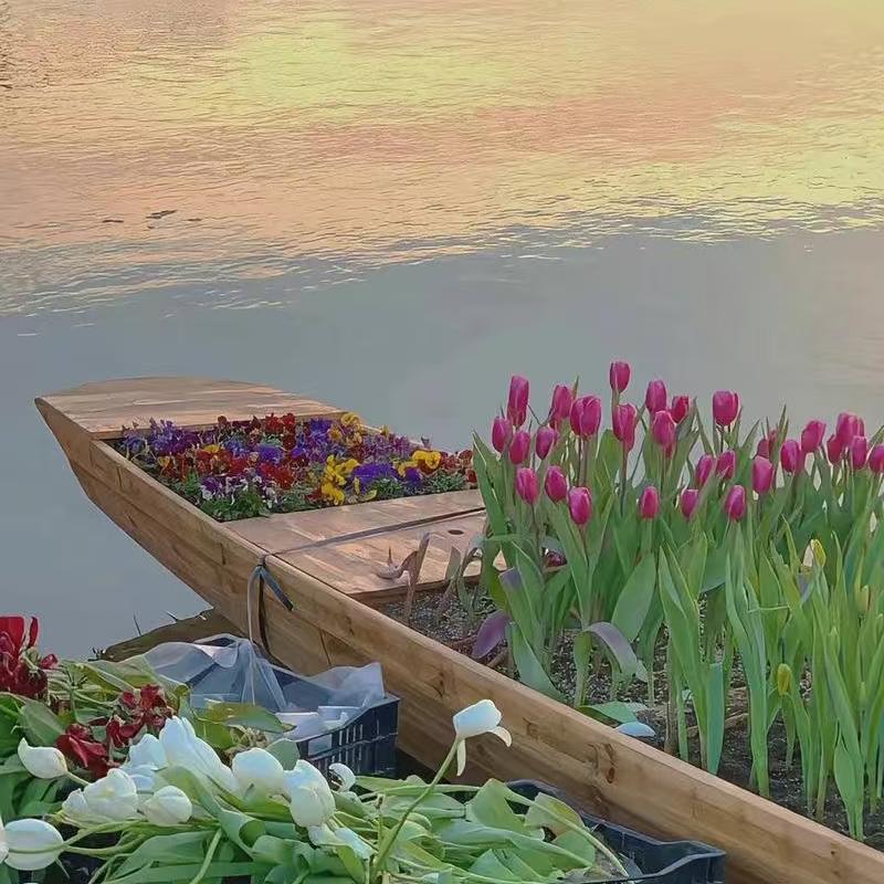 张老师提分技巧