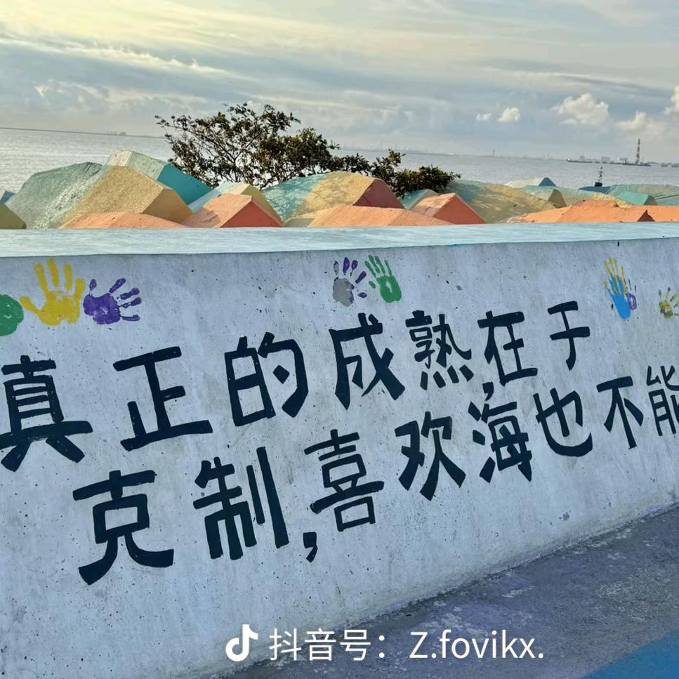 奇瑞323