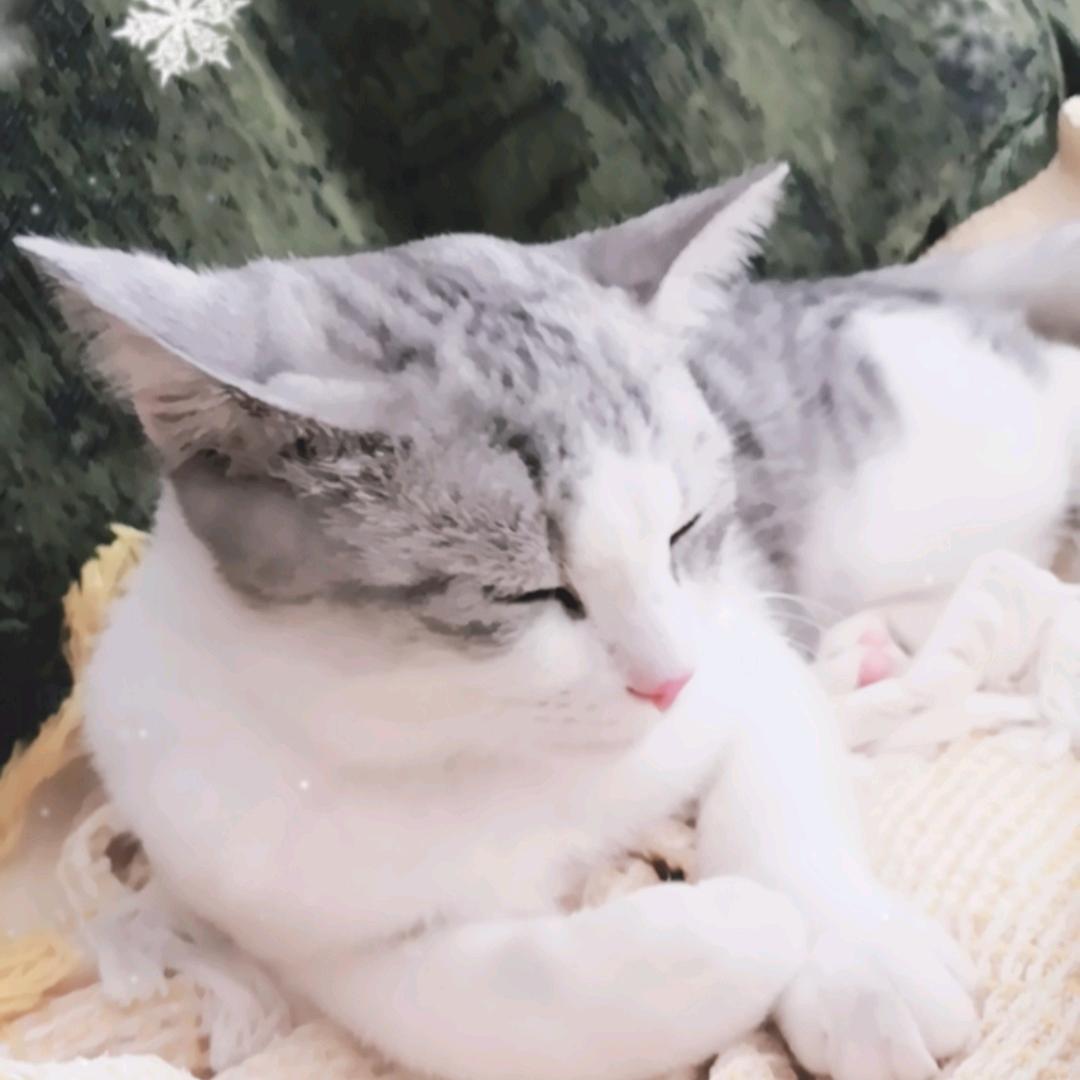 英雄联盟手游石头