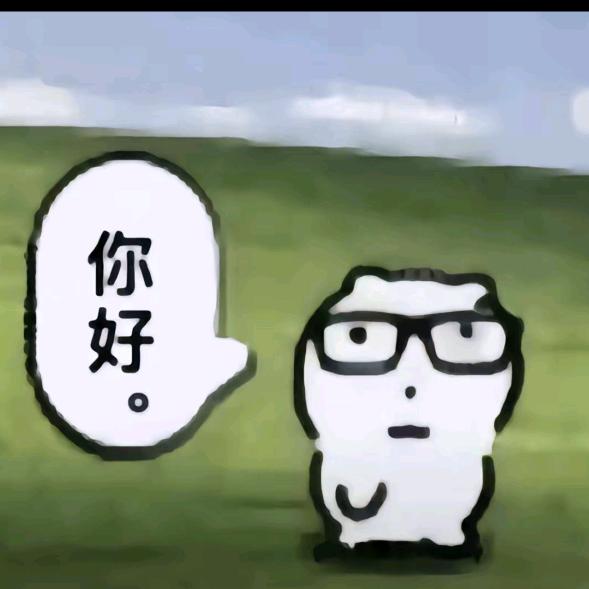 飞机大王666