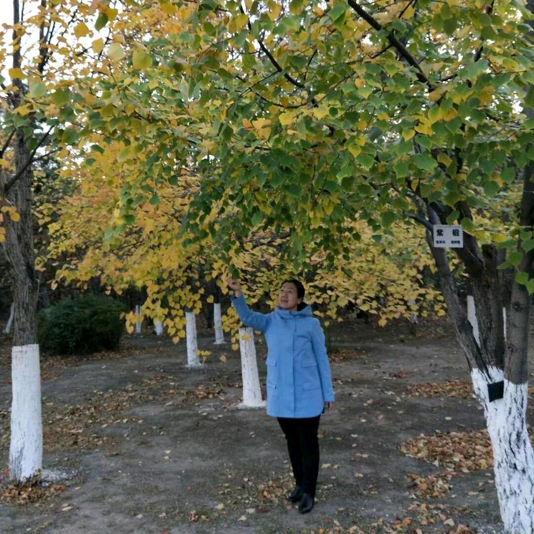 村妮