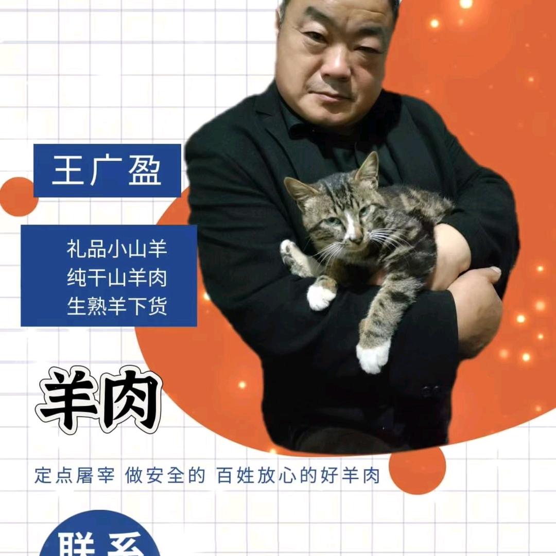 盈哥