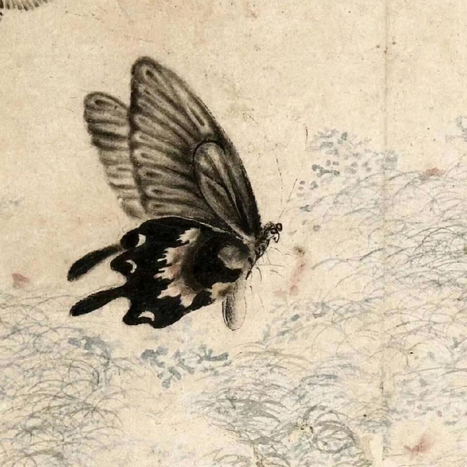 善知识沧海子